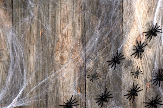 Décorer votre intérieur pour Halloween.